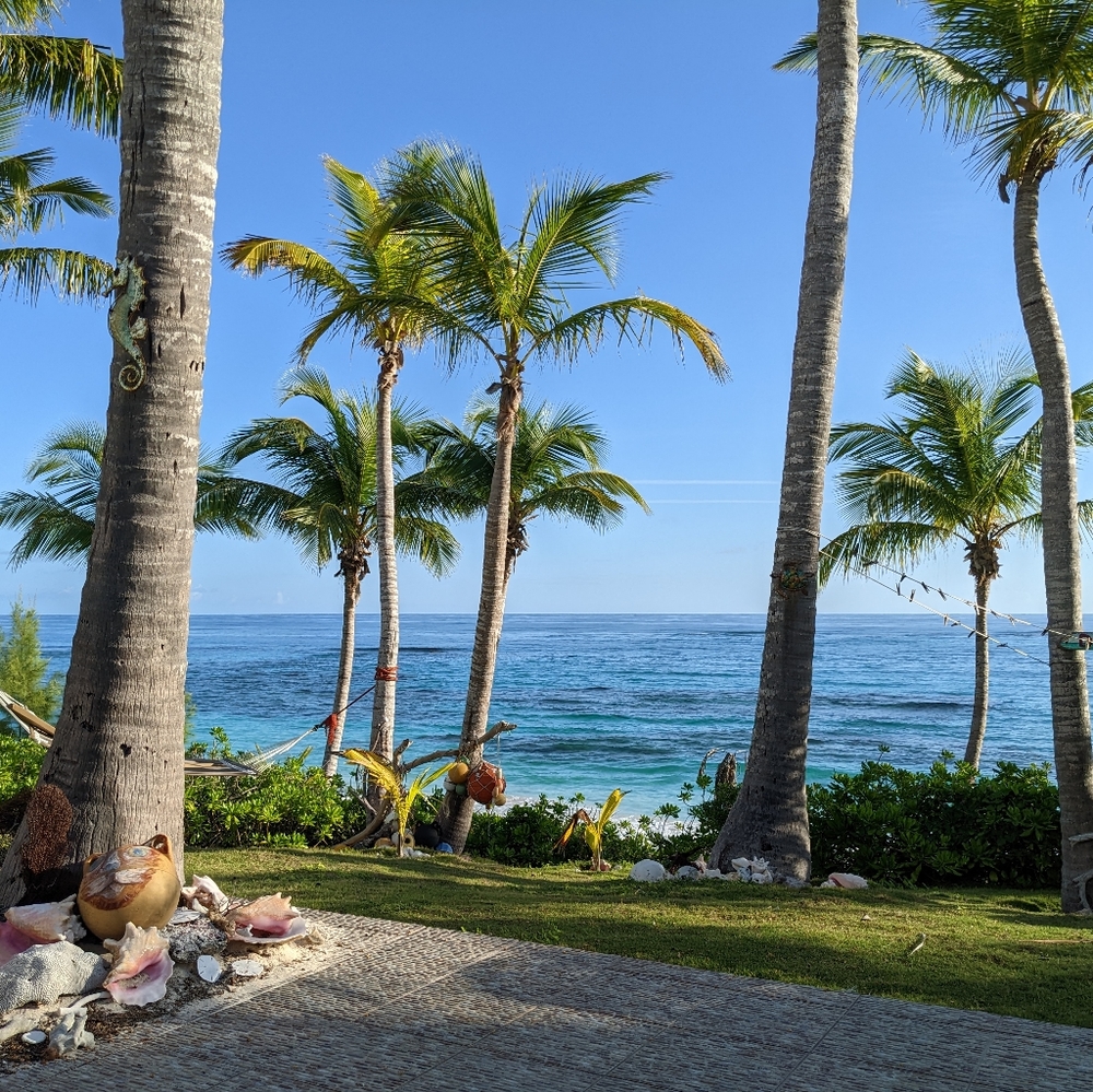 Meet your Posher, Sharon